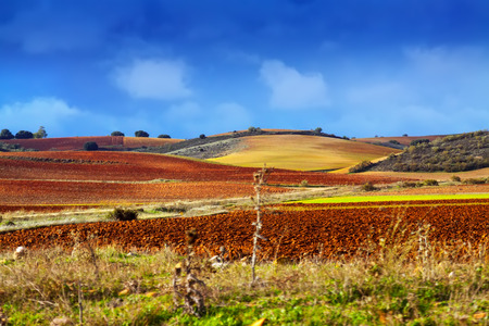 European autumn landscape with  fields among hillsの写真素材