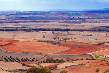 View down  hill at agricultural fieldsの写真素材