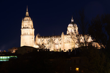 Cathedral of Salamanca in midnight. Castile and Leon, Spainの写真素材