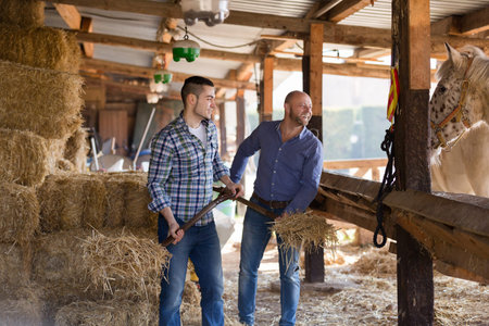 Two happy european farm workers feeding horses with the hay at stable