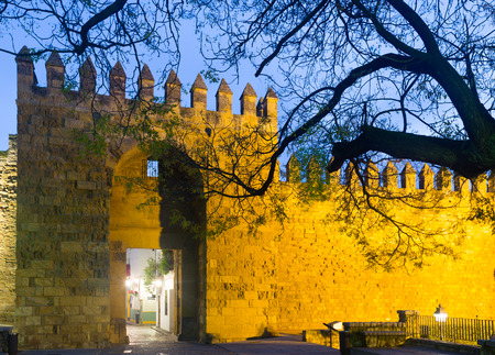 Alcazar de los Reyes Cristianos in winter. Cordoba, Spainの写真素材