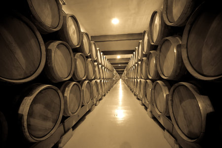 Vintage photo of old cellar with  wine barrels