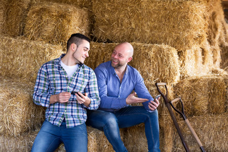 Two men resting on a haystack after working on a farm. They are showing each other something...