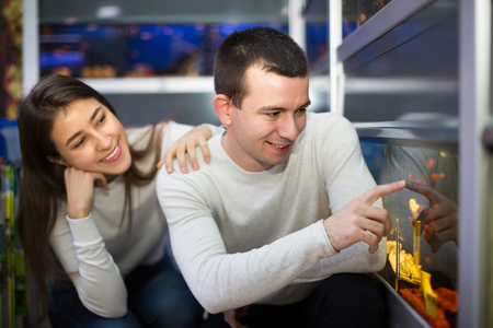 Young couple choosing tropical fish for home aquarium at petshop. Focus on guyの写真素材