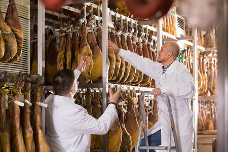 Two farm workers in white overalls checking condition of spanish jamon jointsの写真素材