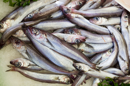 pile of fresh sprat fishes laying on the ice on the marketの写真素材