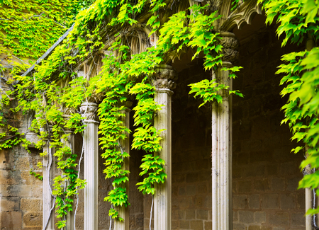 fragment of gothic castle. Oliteの写真素材