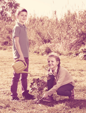 Two cheerful children placing a new tree in the soil and watering it togetherの写真素材