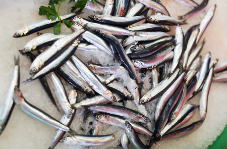 fresh iced codfishes in the shop counterの写真素材