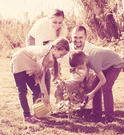 Happy smiling young couple with two kids planting a bush togetherの写真素材