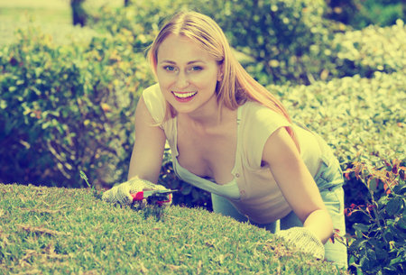 Portrait of cheerful smiling pleasant female gardener trimming green hedge in yardの写真素材