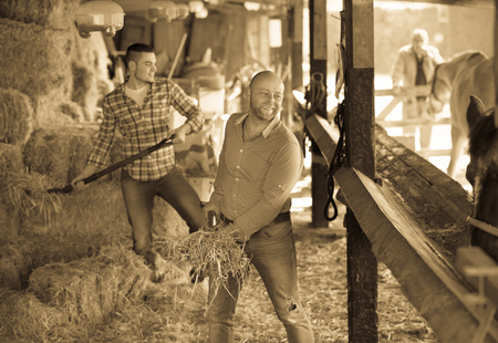 Portrait of two farmers with pitchforks in the settlementの写真素材