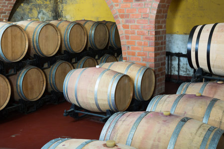 View on winery cellar with wine woods arranged in rows