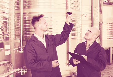 two positive winery workers taking notes while discussing wine sample in fermentation sectionの写真素材