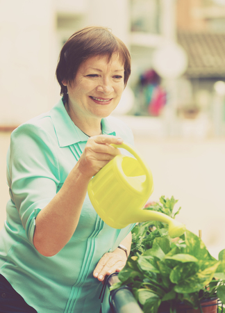 Portrait of mature woman watering domestic plants on terraceの写真素材