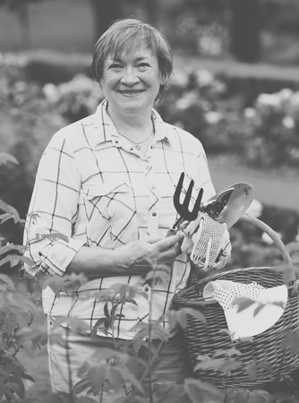 portrait of cheerful retiree woman with basket and gardening tools standing outdoorsの写真素材