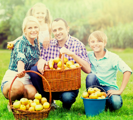 Parents and children with baskets of ripe apples outdoorsの写真素材