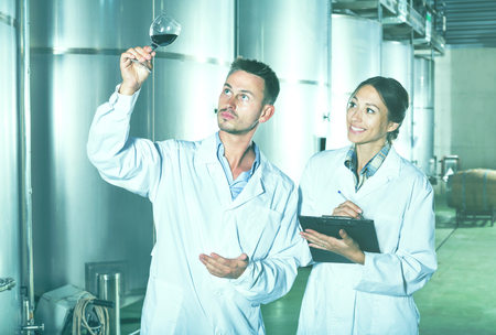 Young man and woman employees looking at wine sample in glass and taking notes on winery manufactory. Focus on manの写真素材