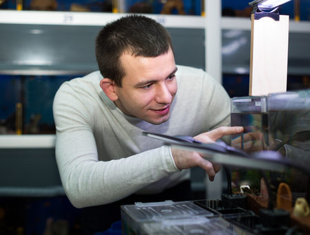 Portrait of young customer selecting tropical fish in petshopの写真素材