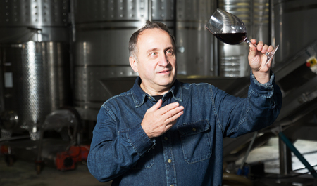 Mature man considers glass with red wine on wineryの写真素材