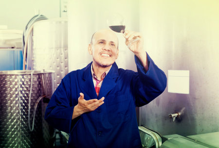 friendly mature man winery worker looking at glass of red wine on manufactoryの写真素材