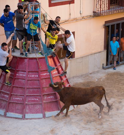LA POBLA TORNESA, SPAIN - August 08, 2016:  People participating in bull chasingのeditorial素材