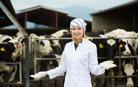 Portrait of female vet working with cows in farm outdoorsの写真素材