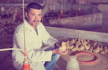 Adult man in white coat having duckling in hands on farm