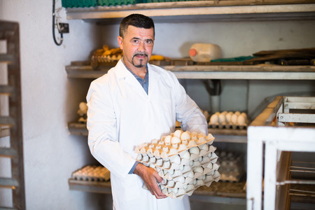 Man working and packing white hen eggs to carton in farmhouseの写真素材