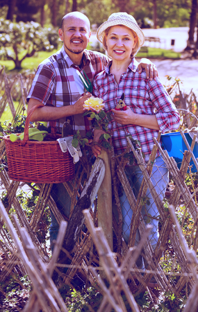 Portrait of joyful elderly couple taking care of flowers in the garden in sunny dayの写真素材