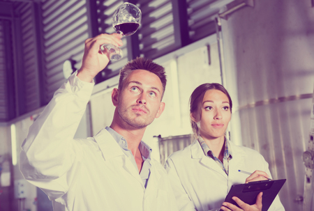 Portrait of cheerful two experts examining wine and taking notes in processing sectionの写真素材