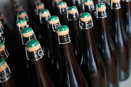 Rows of sparkling wine bottles standing on shelfの写真素材