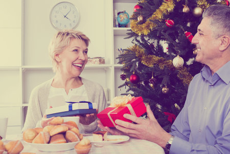 Mature couple congratulate each other Merry Christmas and Happy New Year in home interiorの写真素材
