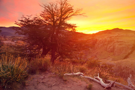 View on Cerro Torre Mount and glaciers of the Southern Patagonian Ice Field in Argentinaの写真素材