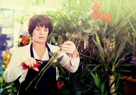 Female shop assistant showing best roses in flower shopの写真素材