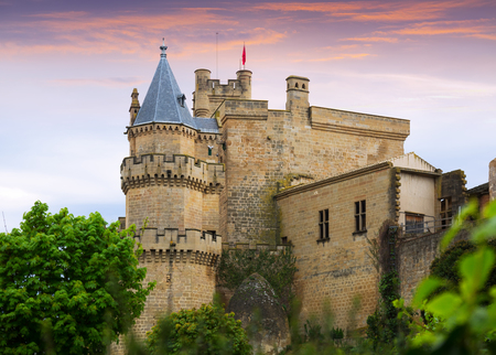 Palace of  Kings of Navarre at Olite. Navarreのeditorial素材