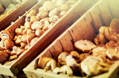 Closeup view on fresh mushrooms in basket in food storeの写真素材