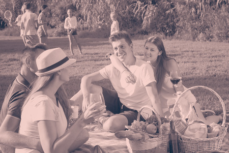 Cheerful parents enjoying picnic outdoors, while children playing active gamesの写真素材