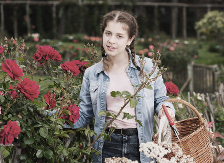 positive  teen  holding a basket and standing near the blooming rosesの写真素材