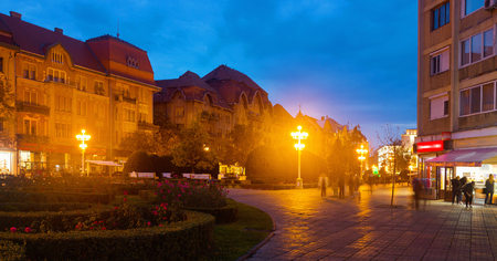 View of Victoriei Square, one of central squares of Timisoara at night
のeditorial素材