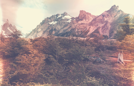General view of Cerro Torre Mount of the Southern Patagonian Ice Field in Argentinaの写真素材