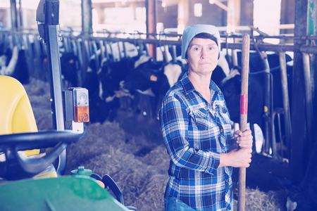 Adult female is standing at her workplace near cows at the farm.の写真素材