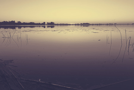 Picturesque sunset on calm lake in summer eveningの写真素材