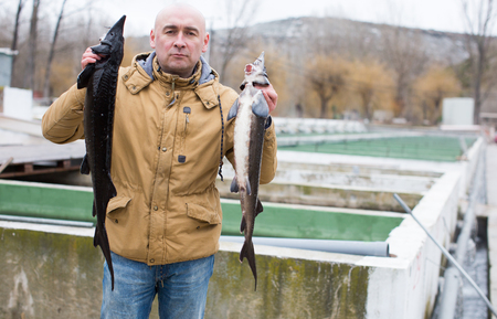 Portrait of successful owner of sturgeon farm showing grown fish outdoorsの写真素材