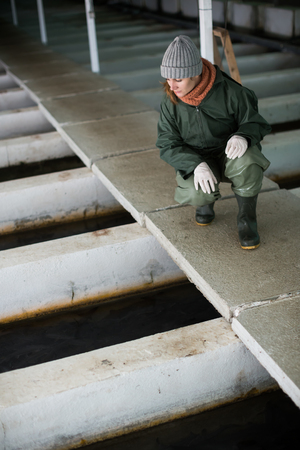 Young woman in waterproof clothing standing near fish tank on sturgeon fish farmの写真素材
