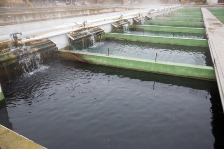 Tanks outdoors of farm for industrial breeding sturgeon fish