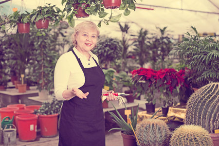 Portrait of female gardener who is working together in orangery.の写真素材