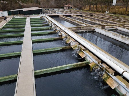 Tanks outdoors of farm for industrial breeding sturgeon fish