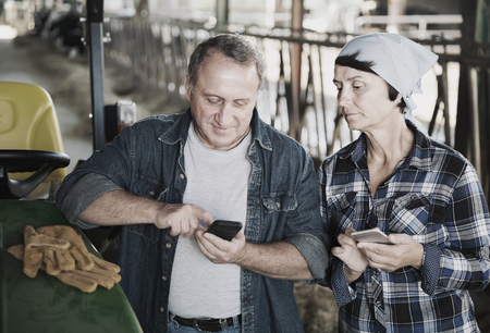 couple adult farmers are standing with phones near cows at the farm outdoorsの写真素材