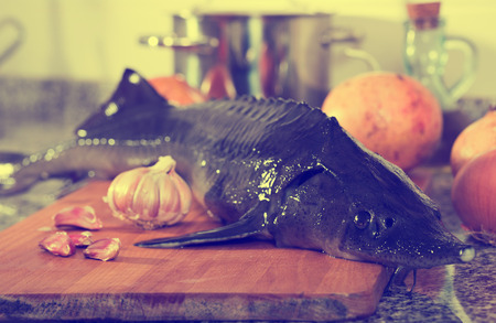 Fresh sturgeon with pomegranates and spices on stone kitchen tableの写真素材